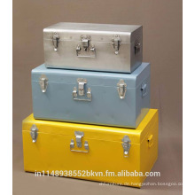 Industrial Metallic Storage Trunk